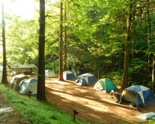 木漏れ日の中でキャンプ